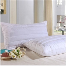 特价枕芯单人荞麦枕芯全棉保健护颈枕头可批发零售