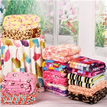 厂家直销印花珊瑚绒升级产品法兰绒毛毯子新款多花型批发团购