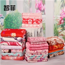 厂家直销秋冬加厚珊瑚绒法兰绒毯印花毛毯批发团购多花型