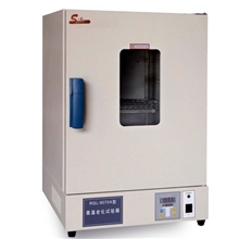 电热鼓风干燥箱DHG-9423A