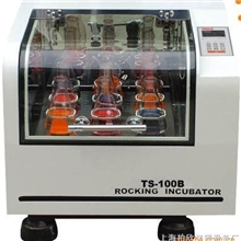 TS-100C恒温培养振荡器