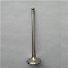 道茨气门.其他各种车型外贸气门