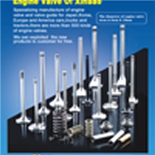 福特气门.其他各种车型外贸气门