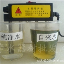 纯水检测仪/电解器/水质电解仪/电解棒