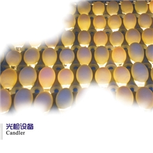 振野高效蛋品光检设备