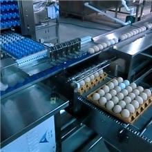 供应振野不锈钢ZYL-JS3-D1-ZP10000枚/小时电子分级自动装托机