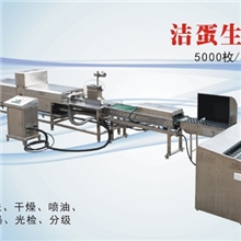 供应振野高性能耐用性不锈钢5000枚/小时鸡蛋加工设备