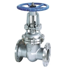 不锈钢闸阀,法兰式，DN100，楔式闸阀，手动控制，WCB,304材质