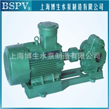 KCB200铸铁防爆电机齿轮油泵【上海博生老牌子,好信誉】