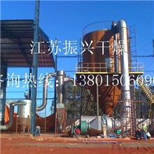 饲料酶干燥工艺要求，粉体料喷雾干燥设备要求-江苏振兴