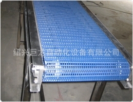 浙江绍兴设计制作非标网带输送线