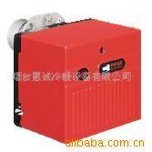 供应柴油利雅路进口燃烧器(图)