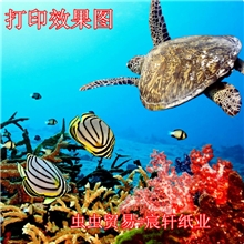 115克彩色喷墨单面铜版打印纸喷墨A3纸