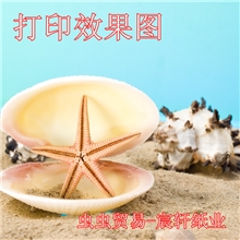 230克a4高光单面防水相纸照片纸照相纸打印纸厂家