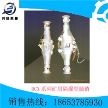 BCX系列矿用隔爆型插销