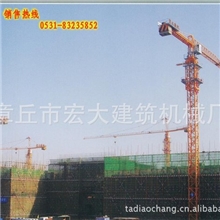 专业生产出口塔吊塔机施工电梯提升机
