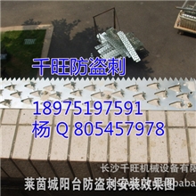 小区家庭窗户阳台围墙防爬刺生产厂