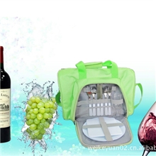 软体冰箱车载冰箱旅游冰箱冰箱定做迷你冰箱XYC-1601-10