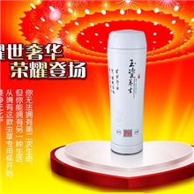 现货车载电热杯车载电热杯定做高档礼品车载杯汽车礼品WKY-818