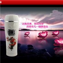 车载电热杯汽车电热杯车载杯厂家深圳车载电热杯定做XYC-812