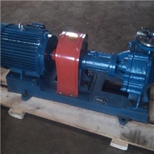 RY65-40-250不锈钢热油泵