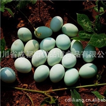 供应新鲜绿壳土鸡蛋