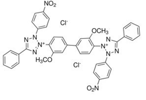 美国原装分装250mg氯化硝基四氮唑蓝（NBT）氮蓝四唑Cas298-83-9