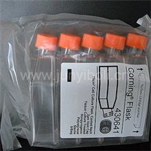 Corning/Costar75cm细胞培养瓶（透气盖）5个/包