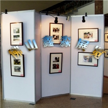 订做八棱柱组装展板尺寸-1*2MPVC展板5张起批