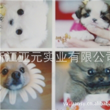 厂家直销PET背胶水晶相纸贴纸背胶卡贴A4卡材全国发货