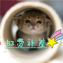 邮费补差价相纸天津发货