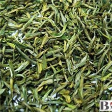 2013年新茶春茶烘青直条毛尖茶似信阳茶叶批发超好喝高香气