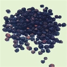 供应优质、纯天然黑胡椒精油