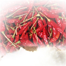 供应高辣度辣椒油树脂（辣椒精），绝不含罗丹明b