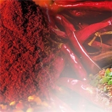 供应不含罗丹明B的辣椒油树脂