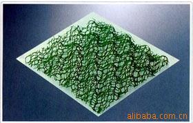 山东泰安厂家直销----江西、湖南、广西三维土工网垫，植草网