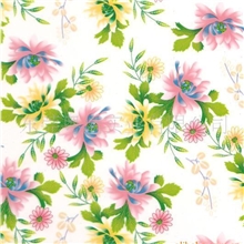 供应高纹水转印膜(图)