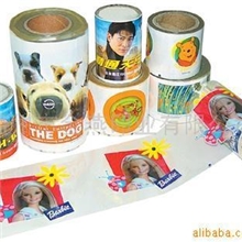 温州金燕专业提供各种产品热转印加工印刷