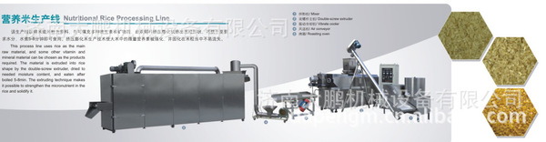 素食米设备速食米生产线