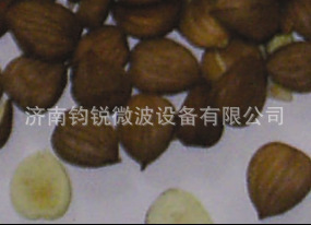 微波熟化坚果食品烘干杀菌设备
