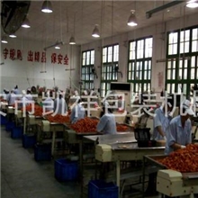 食品包装机械，KX-250枕式包装机械，多功能包装机