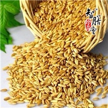 熟制燕麦1kg低温烘焙原料现磨五谷养生粉现磨系列原料