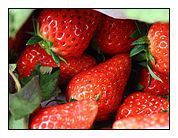 厂家专业供应新鲜草莓香精各种冰品饮料,乳制品,烘焙等加香