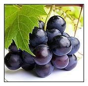 厂家专业供应葡萄香精各种冰品饮料,乳制品,烘焙等加香