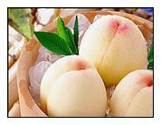 厂家专业供应水晶黄桃香精各种冰品饮料,乳制品,烘焙等加香