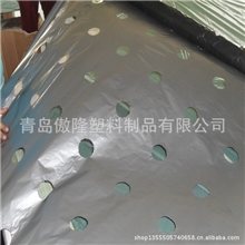 生产供应黑银双色打孔PE农用薄膜