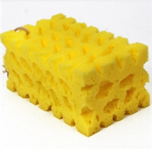 洗车海绵珊瑚海绵大孔海绵超吸水海绵（蜂窝状超强抗磨）