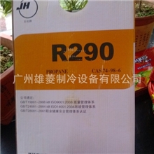 批发香港丨澳门丨珠海丨R29O制冷剂，环保雪种，氟利昂