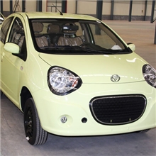 各种型号德力士电动轿车，批发零售电动轿车，进店送豪礼