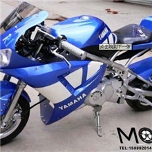 110步阳跑车无极变速两轮摩托车链条驱动两轮小跑车